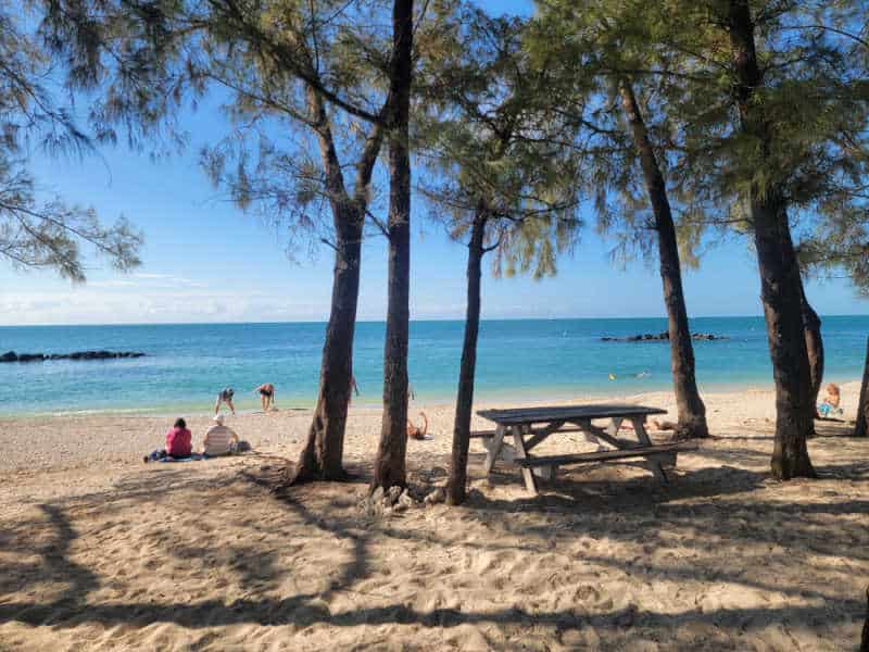 Fort Zachary Taylor Beach with picnic table and trees, Florida