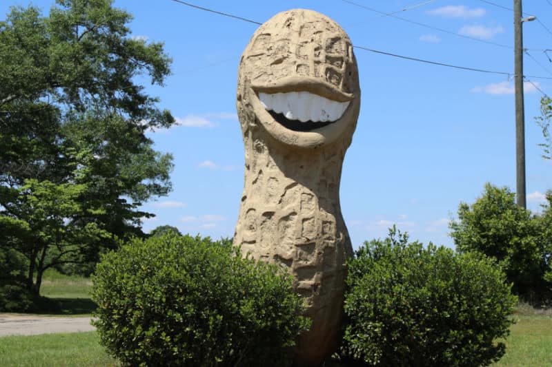 Giant Smiling Peanut Sculpture near Jimmy Carter National Historical Park, Georgia