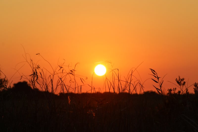 Sunset through the sea of grass in Everglades National Park
