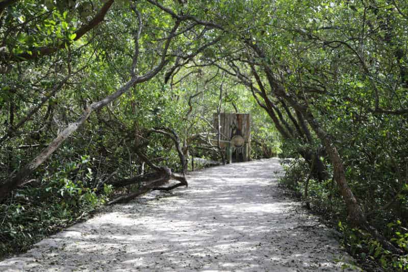 Memorial Trail through brush, De Soto National Memorial