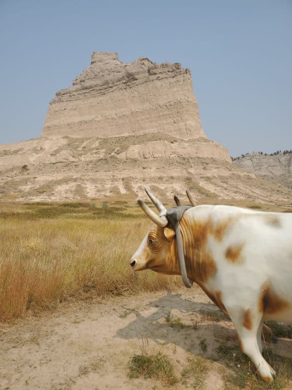 Replica Ox pulling a wagon in front of Scotts Bluff National Monument