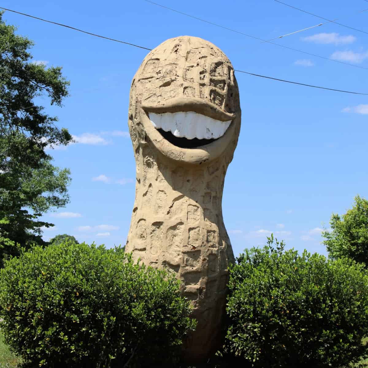 Smiling Peanut in Plains Georgia