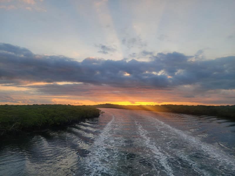 sunset over the water and mangroves in John Pennekamp Coral Reef State Park, Florida