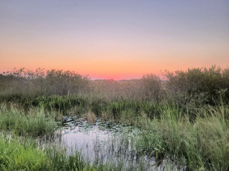 Sunset over grasslands in Everglades National Park, Florida