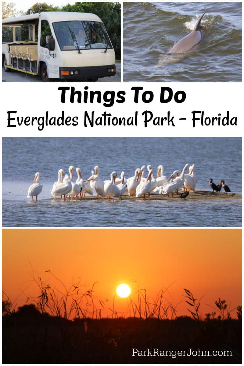 Things to do at Everglades National Park with photos of a shark valley tram, dolphin, white pelicans, and sunset
