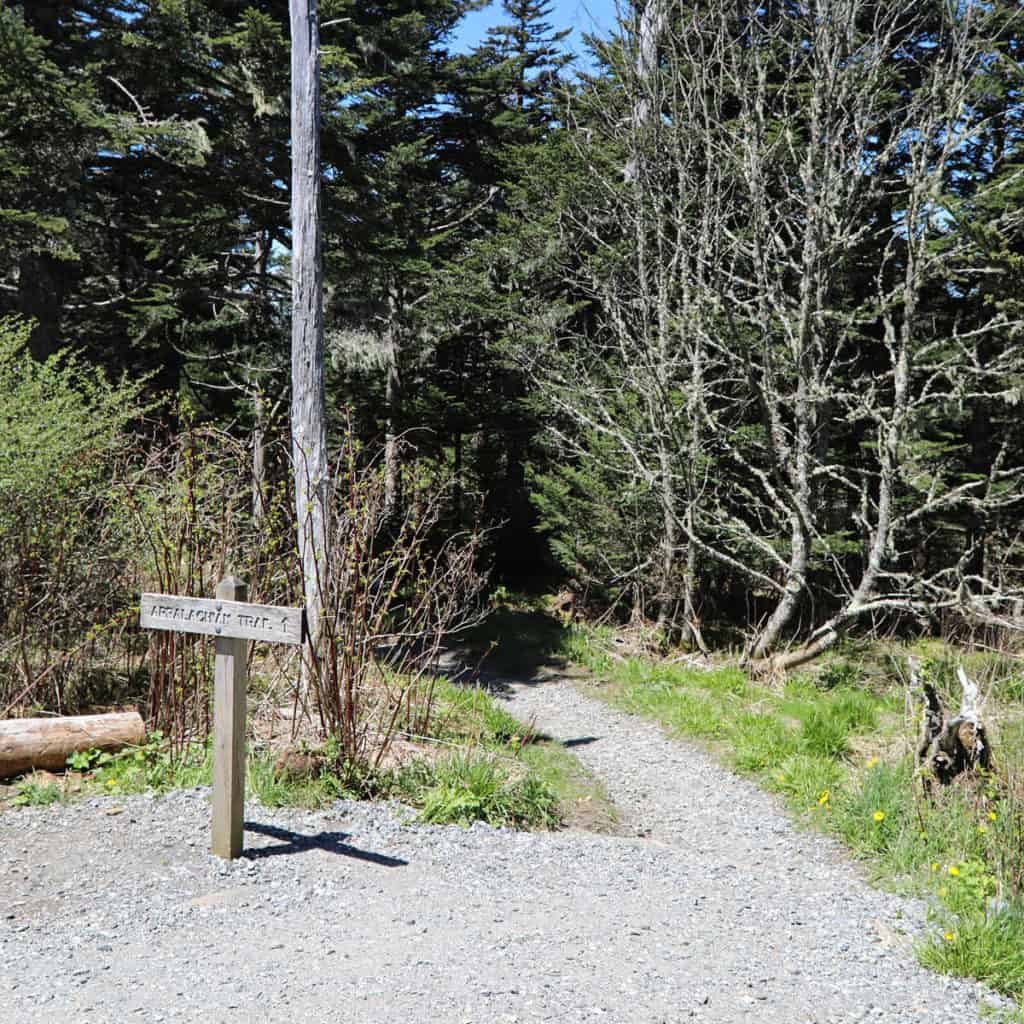 Appalachain Trail on Kuwohi in Great Smoky Mountains