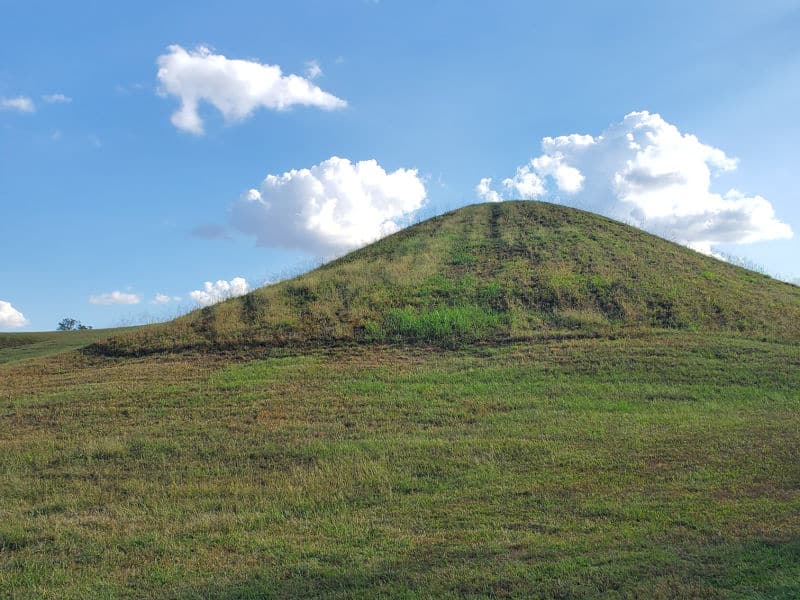 grass covered archeological mound in Poverty Point World Heritage Site