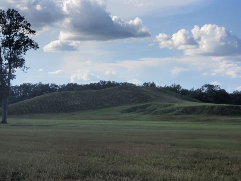 grass covered archeological mounds in Poverty Point National Monument