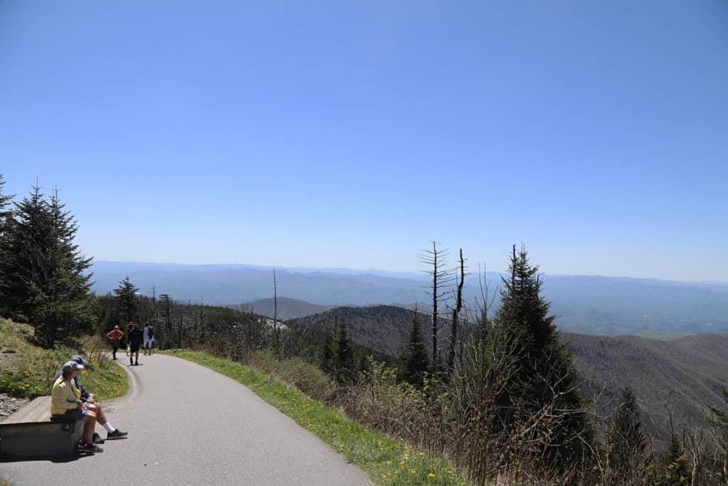 Kuwohi Trail in Great Smoky Mountains