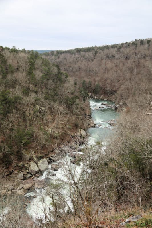 Little River Canyon view with winter trees