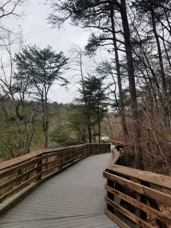 Boardwalk to Little River Falls in Little River Canyon National Preserve