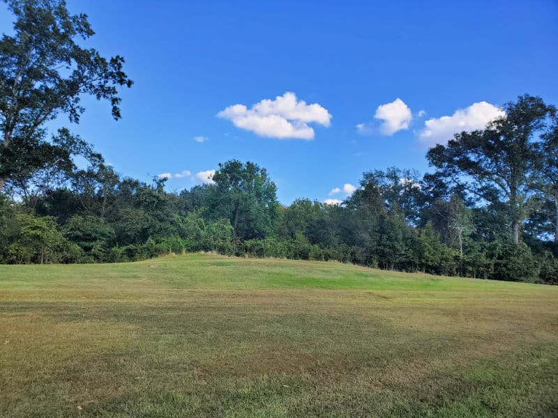 Grass covered Mound C with trees in Poverty Point National Monument