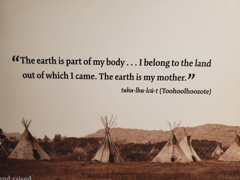 The earth is part of my body... i belong to the land out of which i came. the earth is my mother. Toohoolhoozote statement