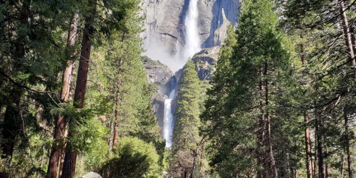 Hiking towards Yosemite Falls with Yosemite Falls in the background
