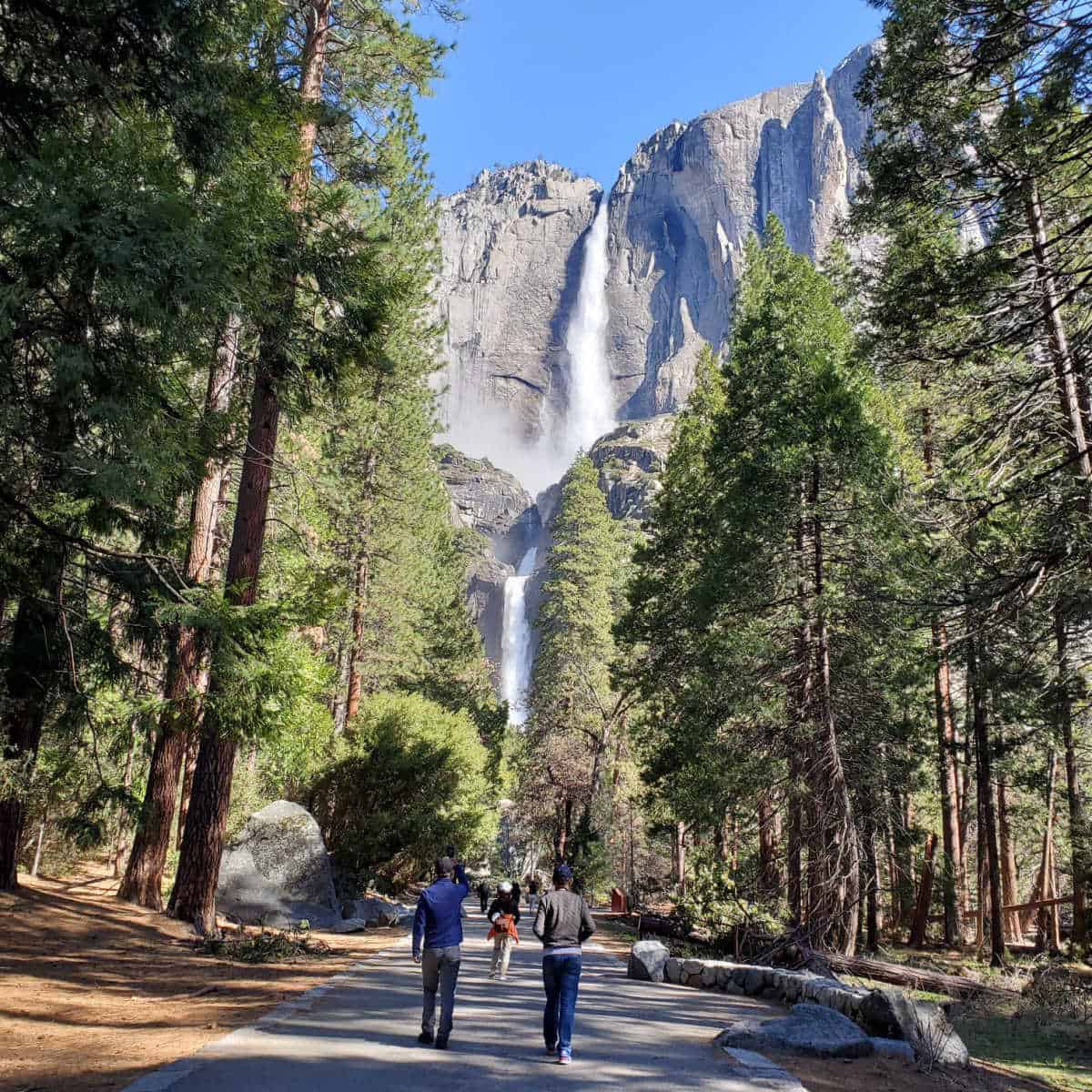 Hiking towards Yosemite Falls with Yosemite Falls in the background
