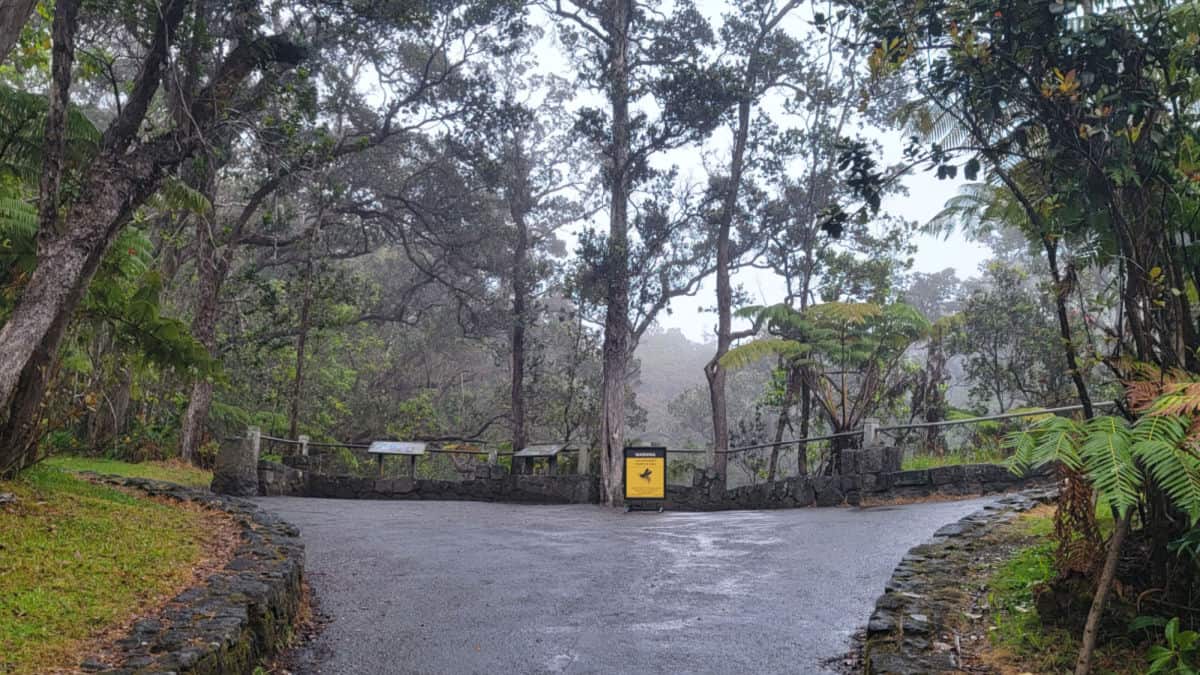 Trail to Thurston Lava Tubes with rainforest surrounding it