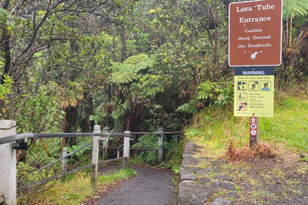 Sign showing the steep descent into Nahuku Thurston Lave Tube with rainforest surrounding the trail