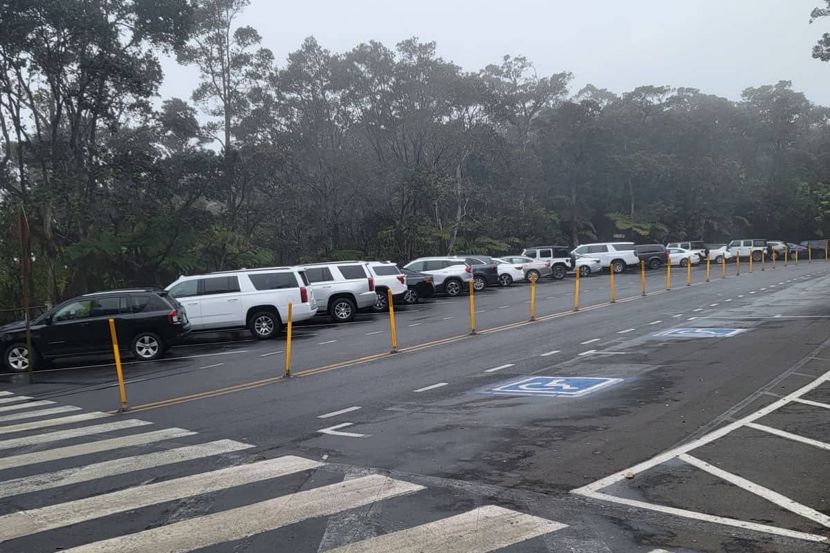 Row of cars and SUVs in the Thurston Lava Tube Parking area