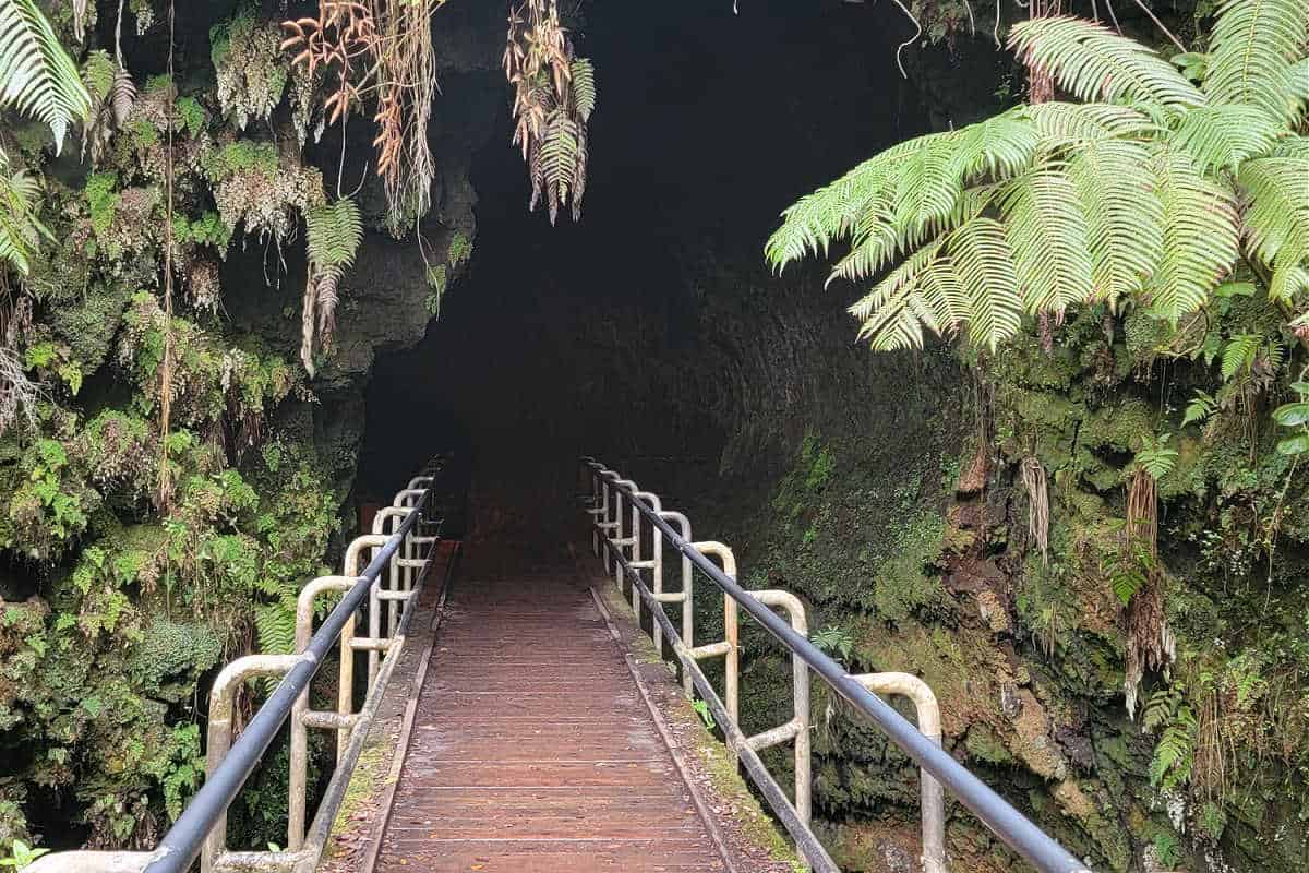 Entrance to Nahuku Thurston Lava Tube with a bridge and rainforest ferns
