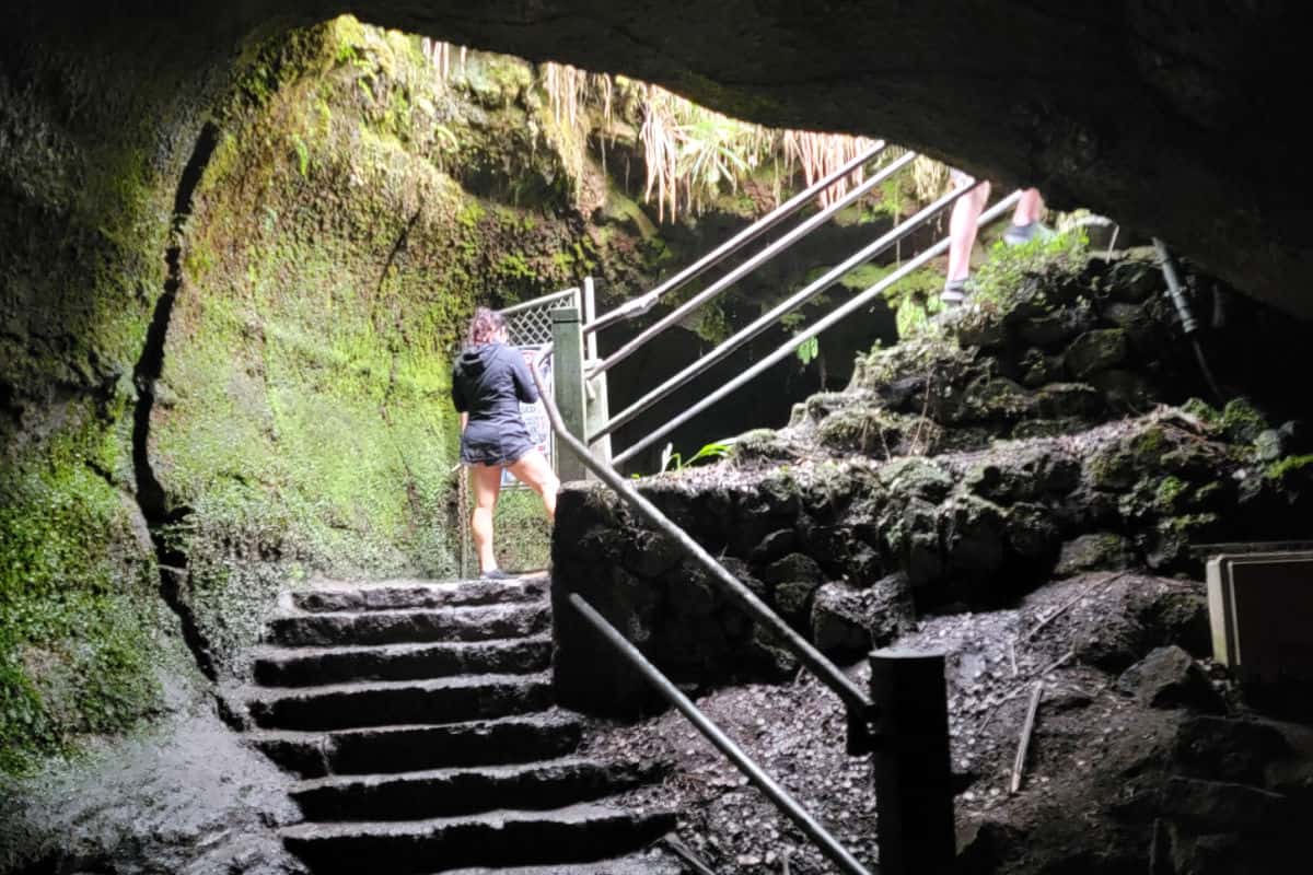 Stairs leading out of Nahuku Thurston Lava Tubes with ferns growing down