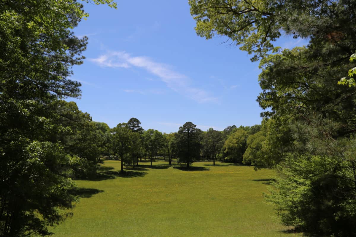 Grassy field surrounded by trees in Horseshoe Bend NMP