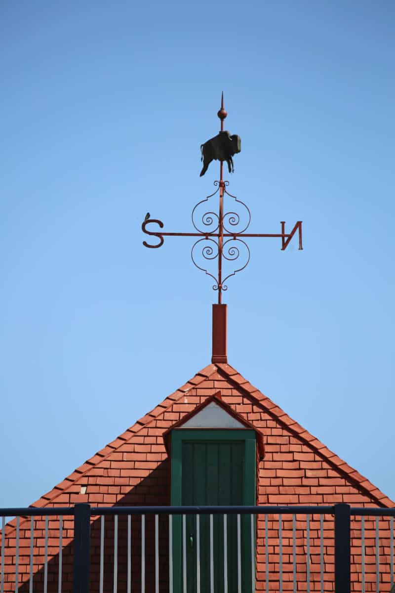 Bison weathervane on a red roof