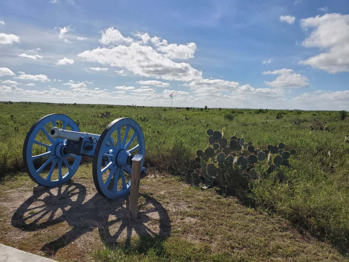 Blue Cannon in a cactus and shrub filled palo alto battlefield