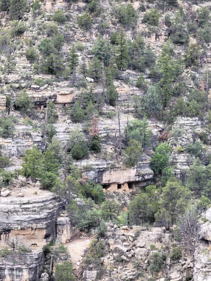 Cliff Dwellings built into the Walnut Canyon cliff walls