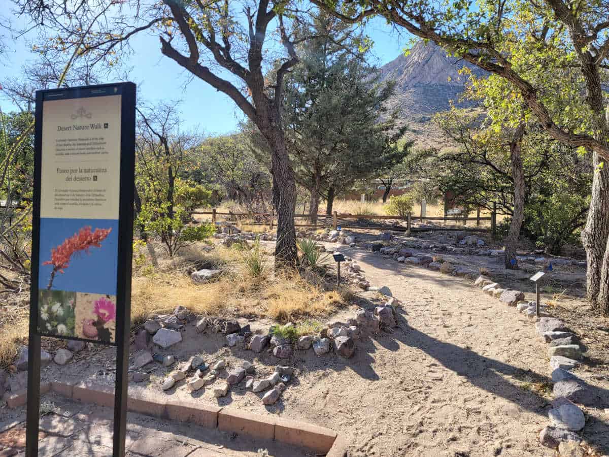 Desert Nature Walk with sign and dirt path