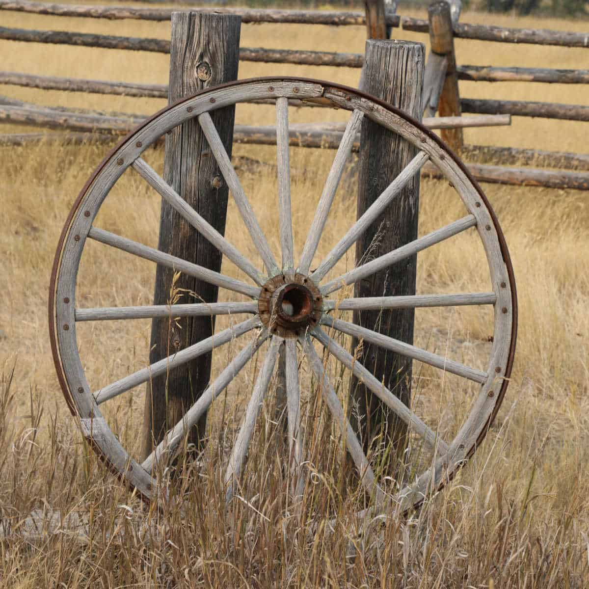 Historic Wagon wheel leaning against a fence post in Grant-Kohrs Ranch National Historic Site 