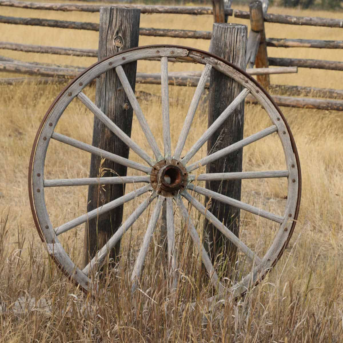 Historic Wagon wheel leaning against a fence post in Grant-Kohrs Ranch National Historic Site
