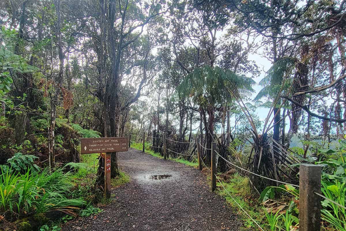 Hawaii Volcanoes National Park Hikes | Park Ranger John
