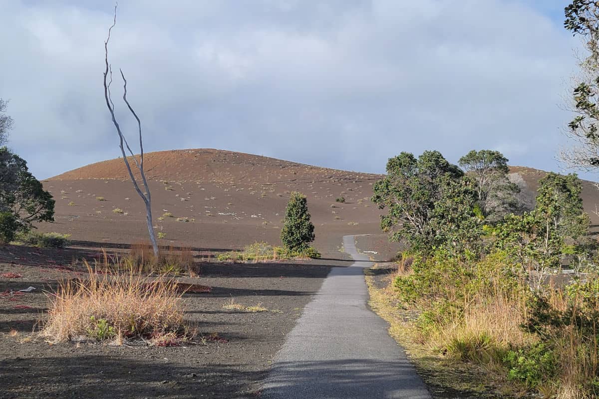 Hiking the Devestation Trail at Hawaii Volcanoes National Park