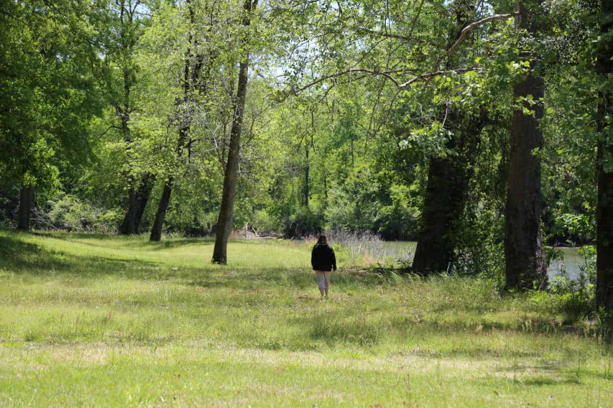 Women walking along a hiking trail in the woods