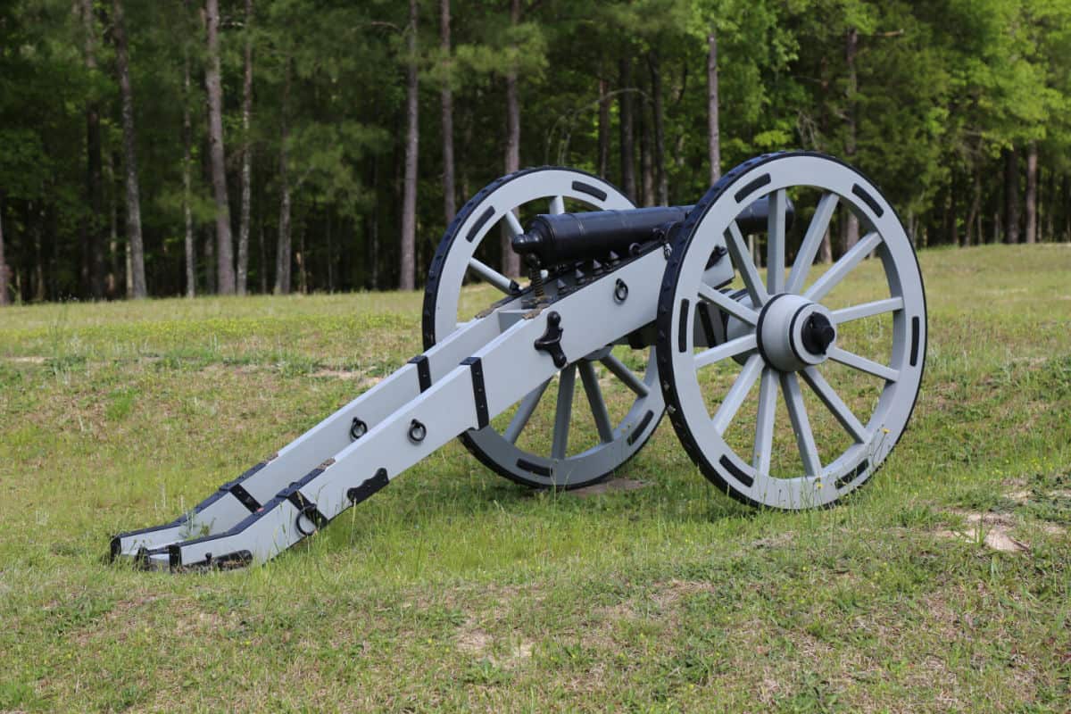 Historic cannon on a grass field