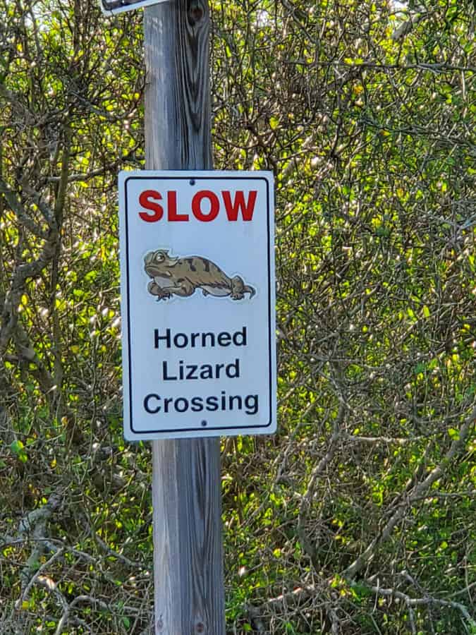 Slow Horned Lizard Crossing Sign