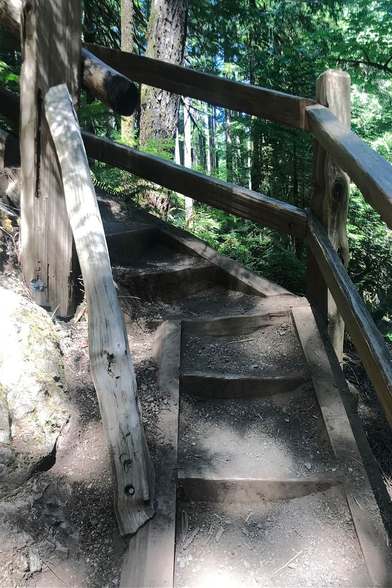 Hiking up to Marymere Falls Trail Olympic National Park