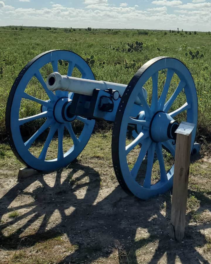 Blue Cannon in a cactus and shrub filled palo alto battlefield