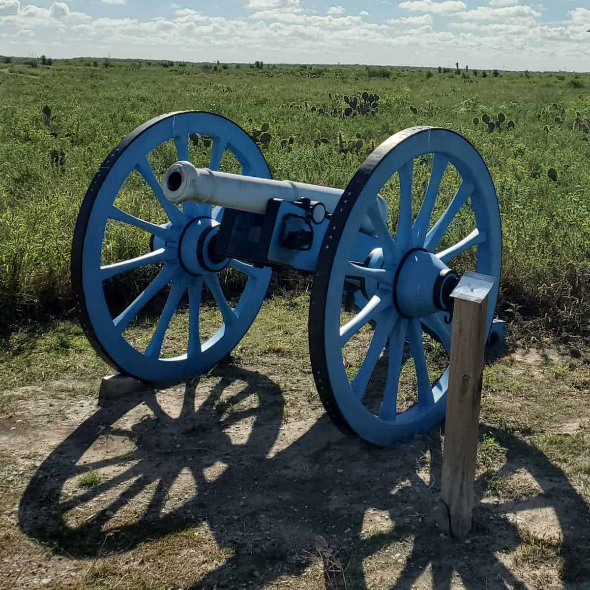 Blue Cannon in a cactus and shrub filled palo alto battlefield