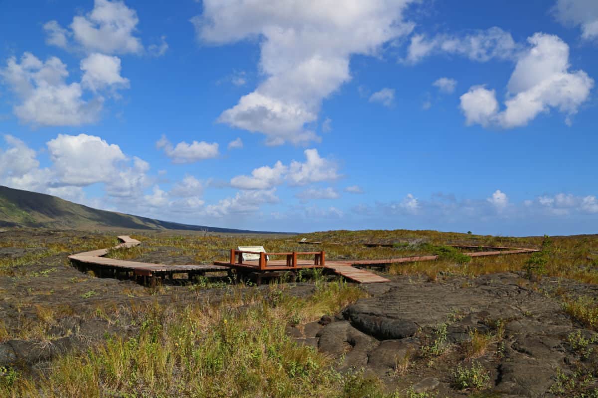 Puuloa Petroglyphs Trail