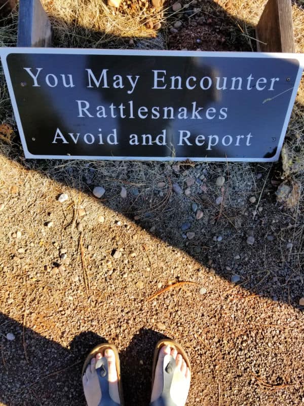 Rattlesnake warning sign in front of feet in sandals