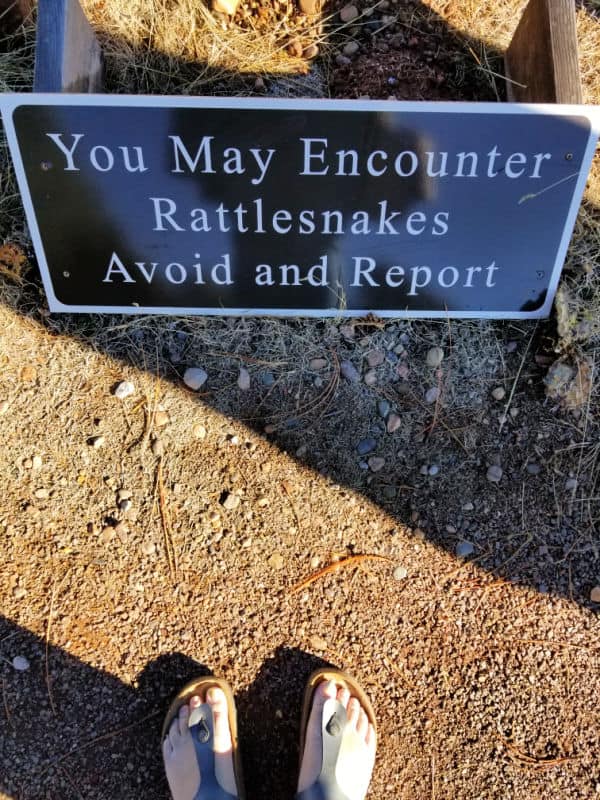 Rattlesnake warning sign in front of feet in sandals