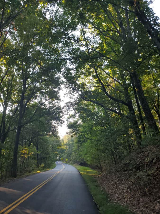 Paved road leading up Kennesaw Mountain