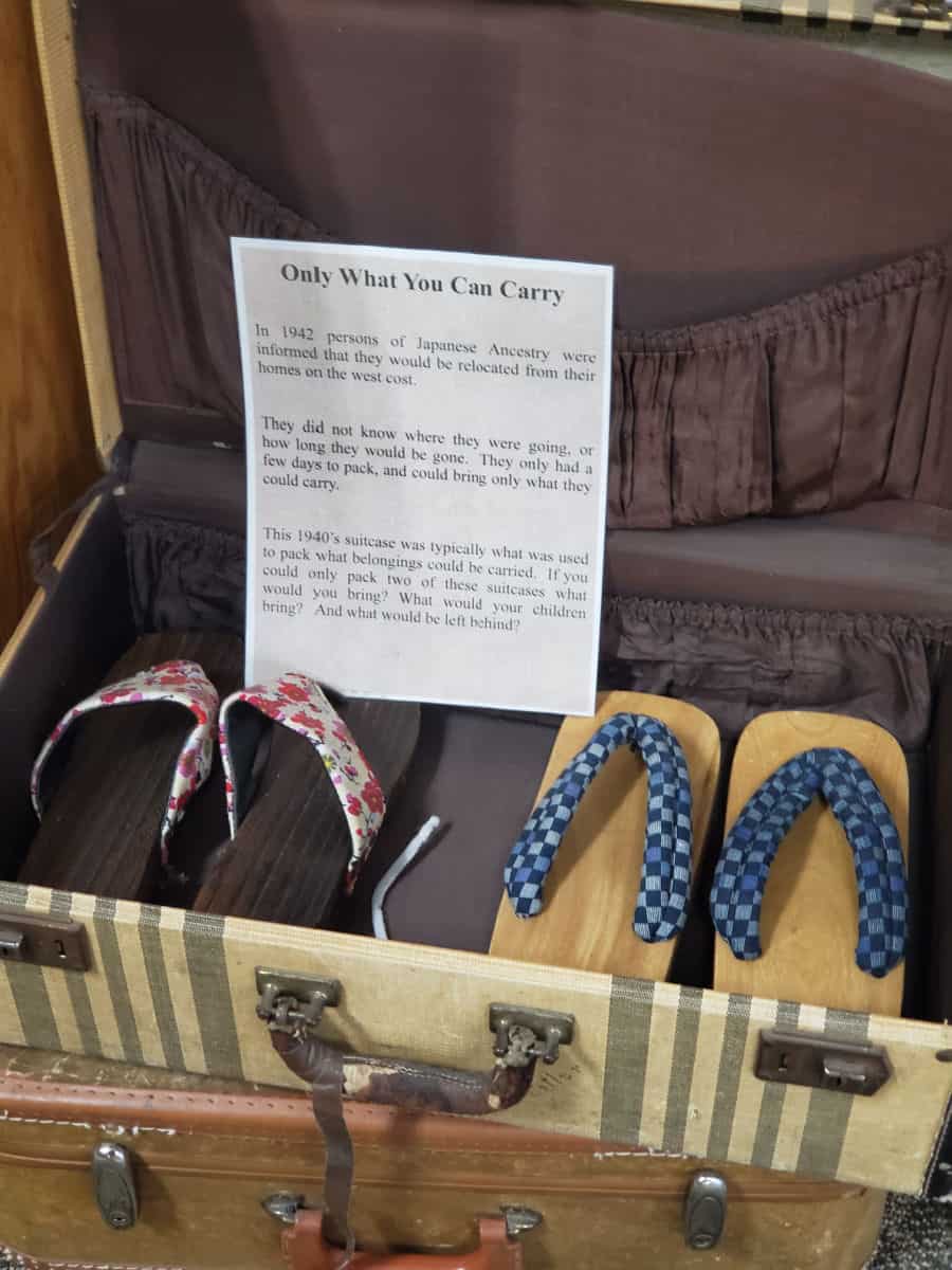 Two pairs of sandals in a suitcase with a sign Only What you Can Carry
