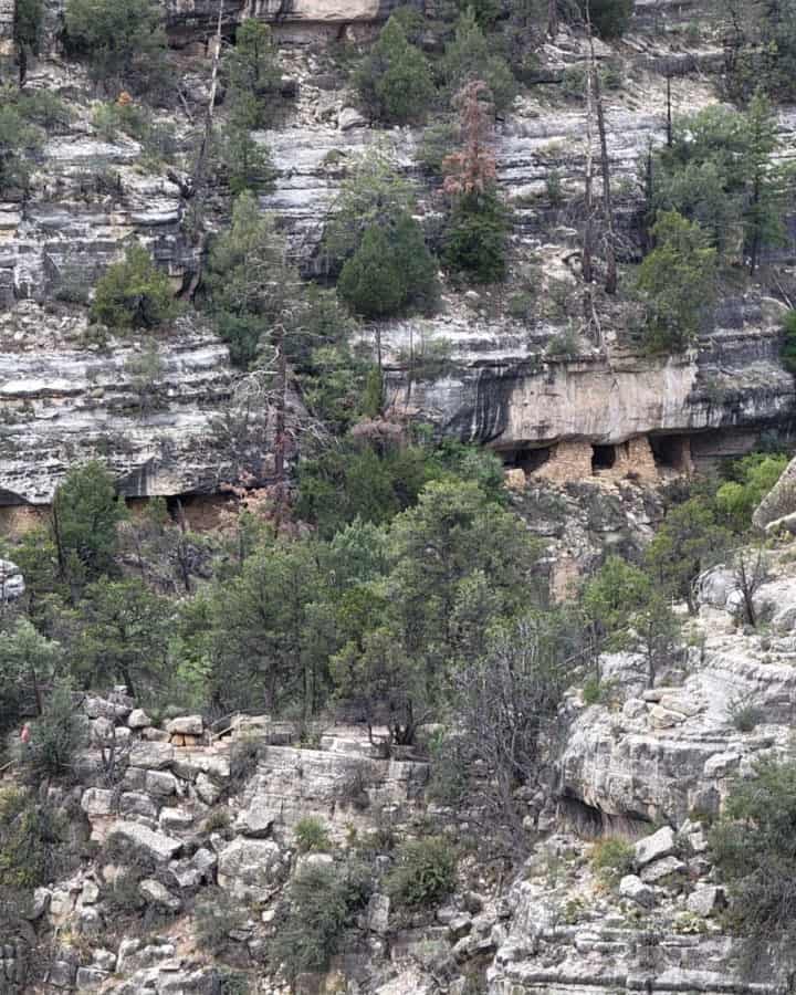 Walnut Canyon cliff dwellings surrounded by trees and people climbing stairs
