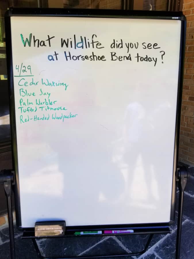 what wildlife was seen in the park list on a white board