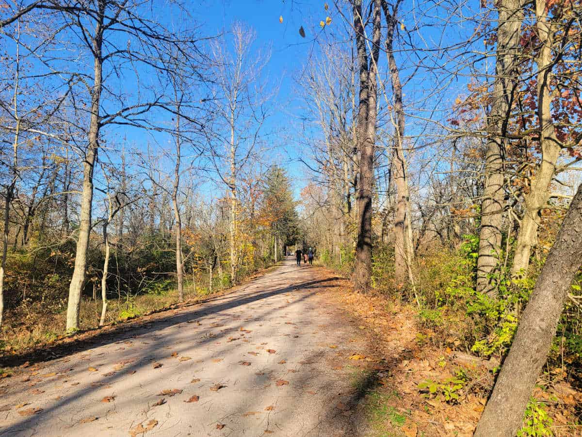 trail through fall leaves and trees with people walking in the distance