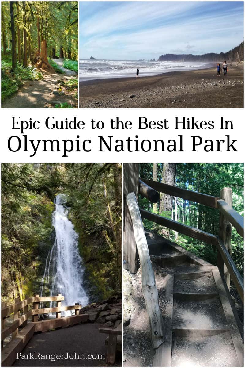 Best hikes in Olympic National Park