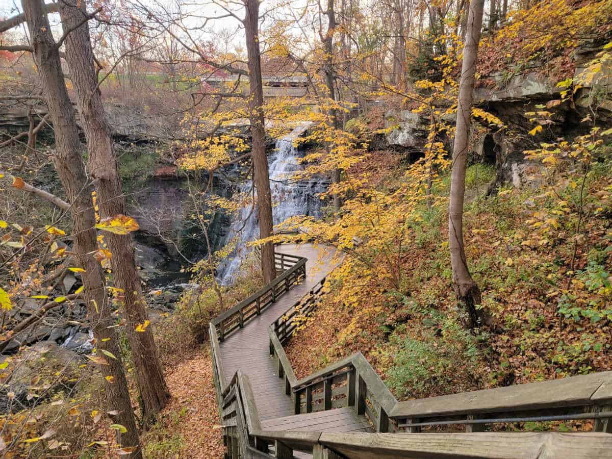 boardwalk trail to brandywine falls with fall colors