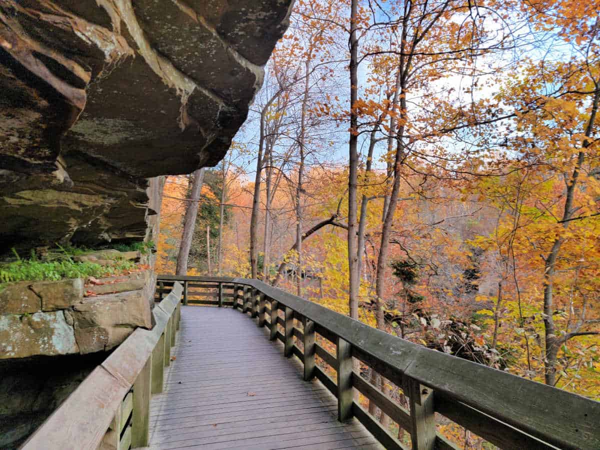 Boardwalk leading under a rock ledge with fall leaves